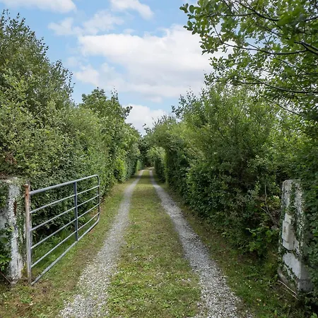 Salmon Дом отдыха *